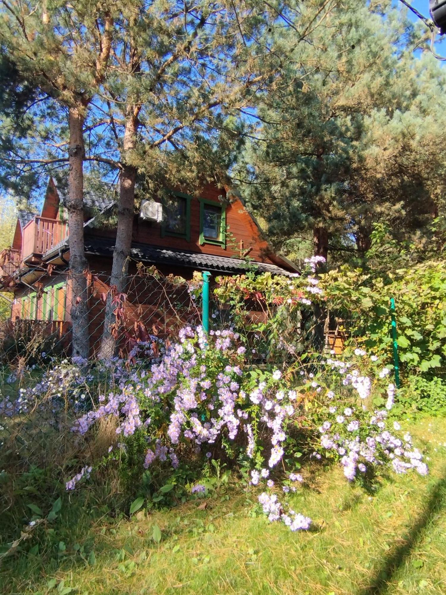 Roztoczanskie Zacisze Kaczorki Buitenkant foto